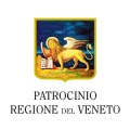 partocini circuito 2016 210x300_0004_Oggetto vettoriale avanzato